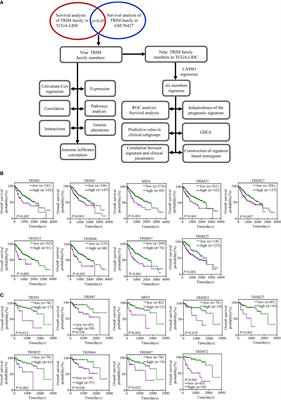 Comprehensive Analysis of the Prognostic Values of the TRIM Family in Hepatocellular Carcinoma